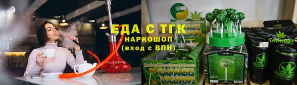 индика Абаза