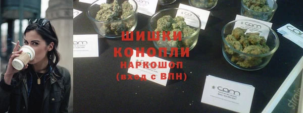 индика Абаза