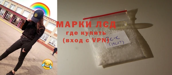 индика Абаза