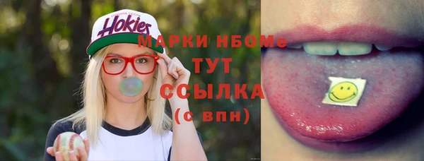 индика Абаза
