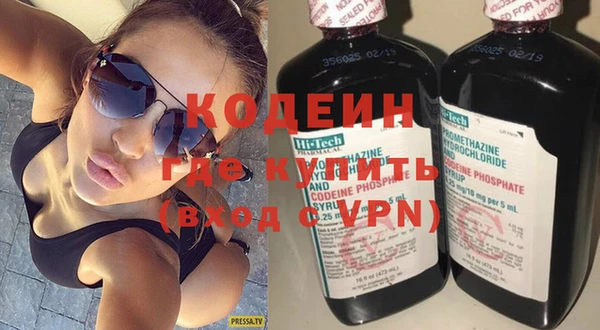 индика Абаза