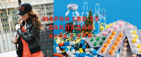 индика Абаза