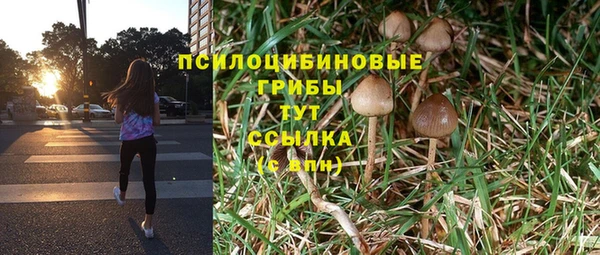 стафф Абдулино